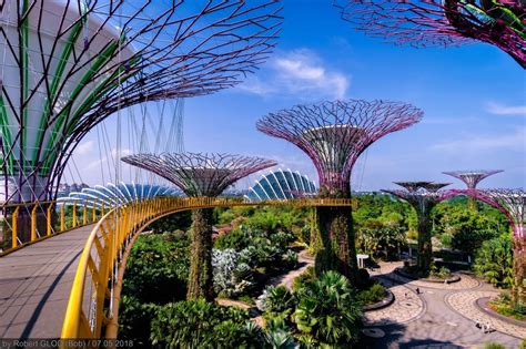 garden city in the world|Global Garden Cities .